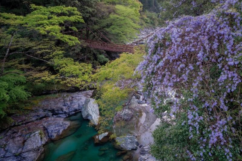 四国旅行のhub拠点 古民家ゲストハウス Heso Camp มิโยชิ ภายนอก รูปภาพ